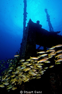 The shipwreck "Mahi" on Oahu's west side. by Stuart Ganz 